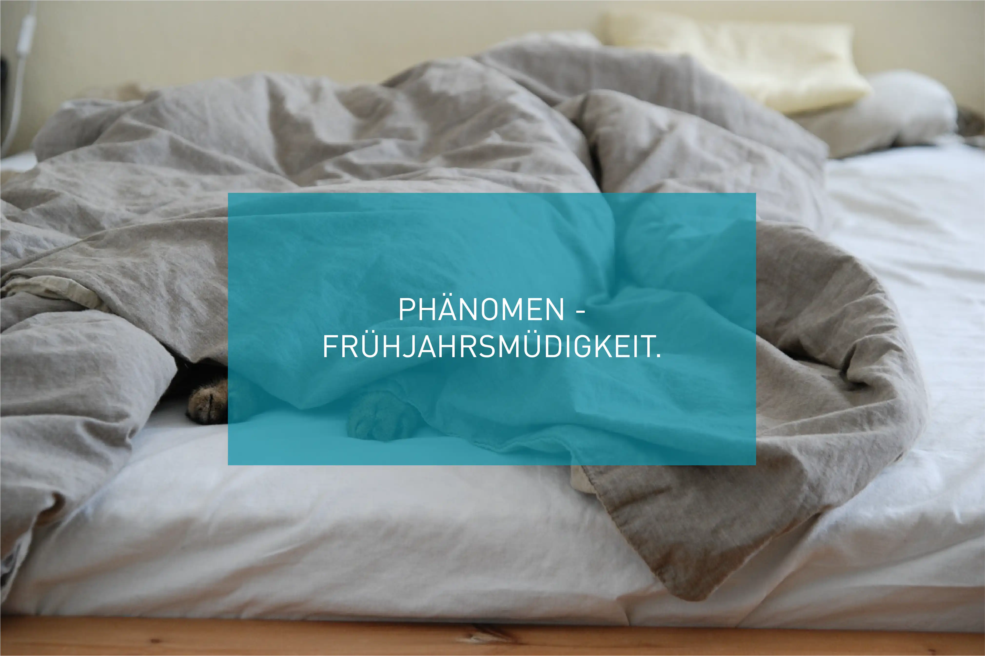 Frühjahrsmüdigkeit