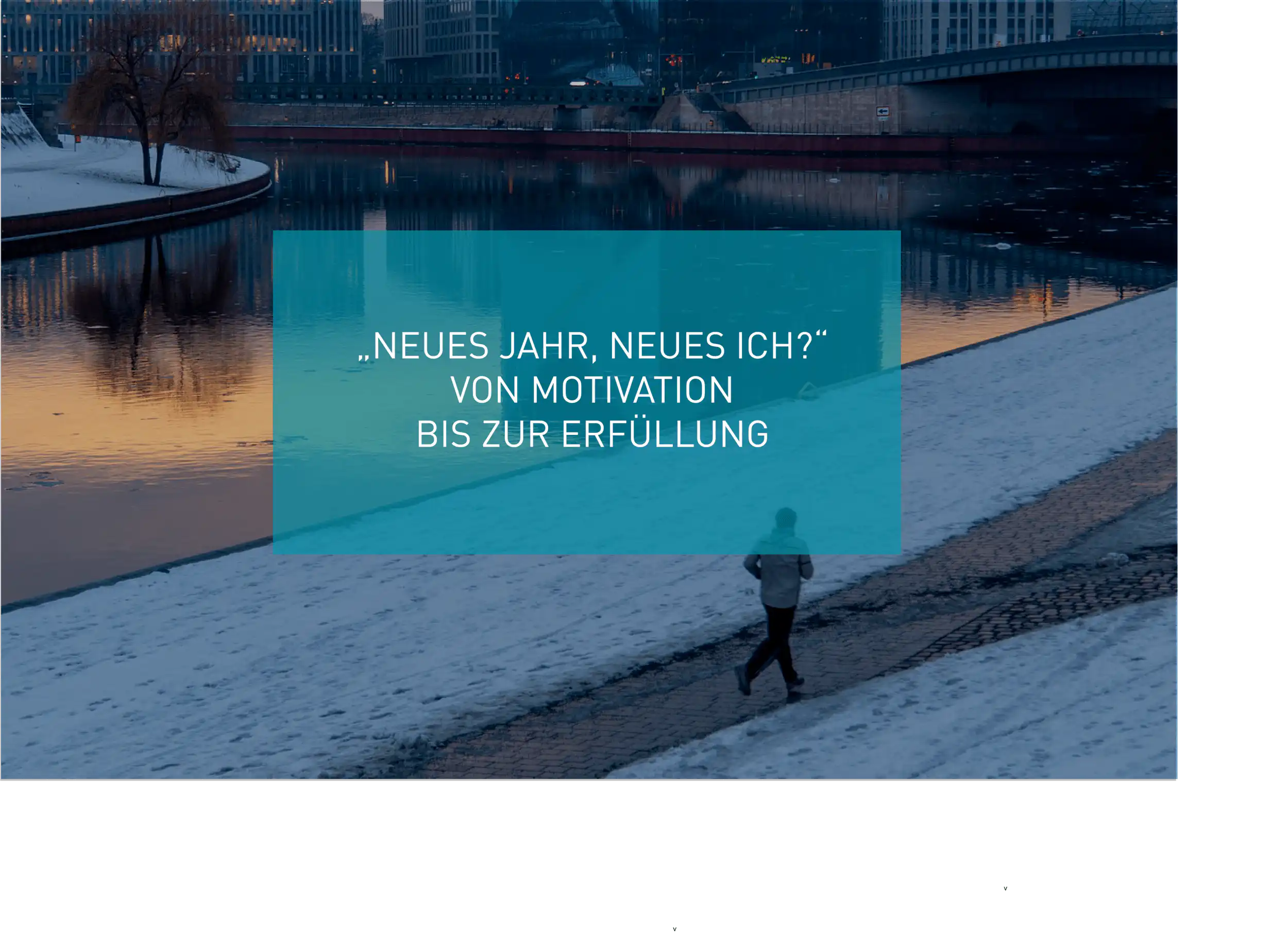Neujahrsvorsätze