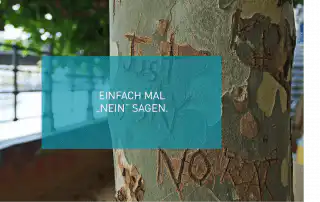 Nein-Sagen