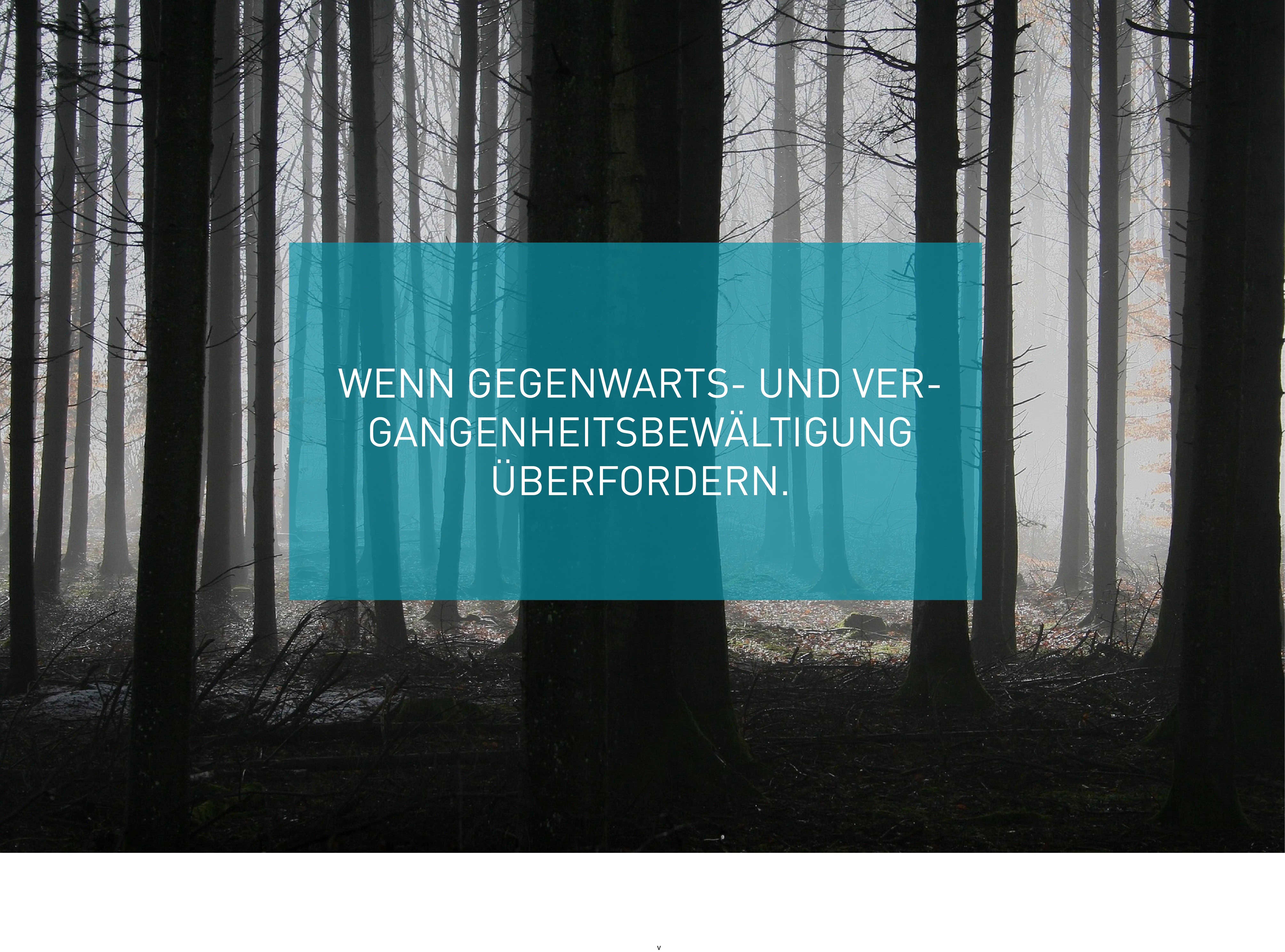 Gegenwarts- und Vergangenheitsbewältigung