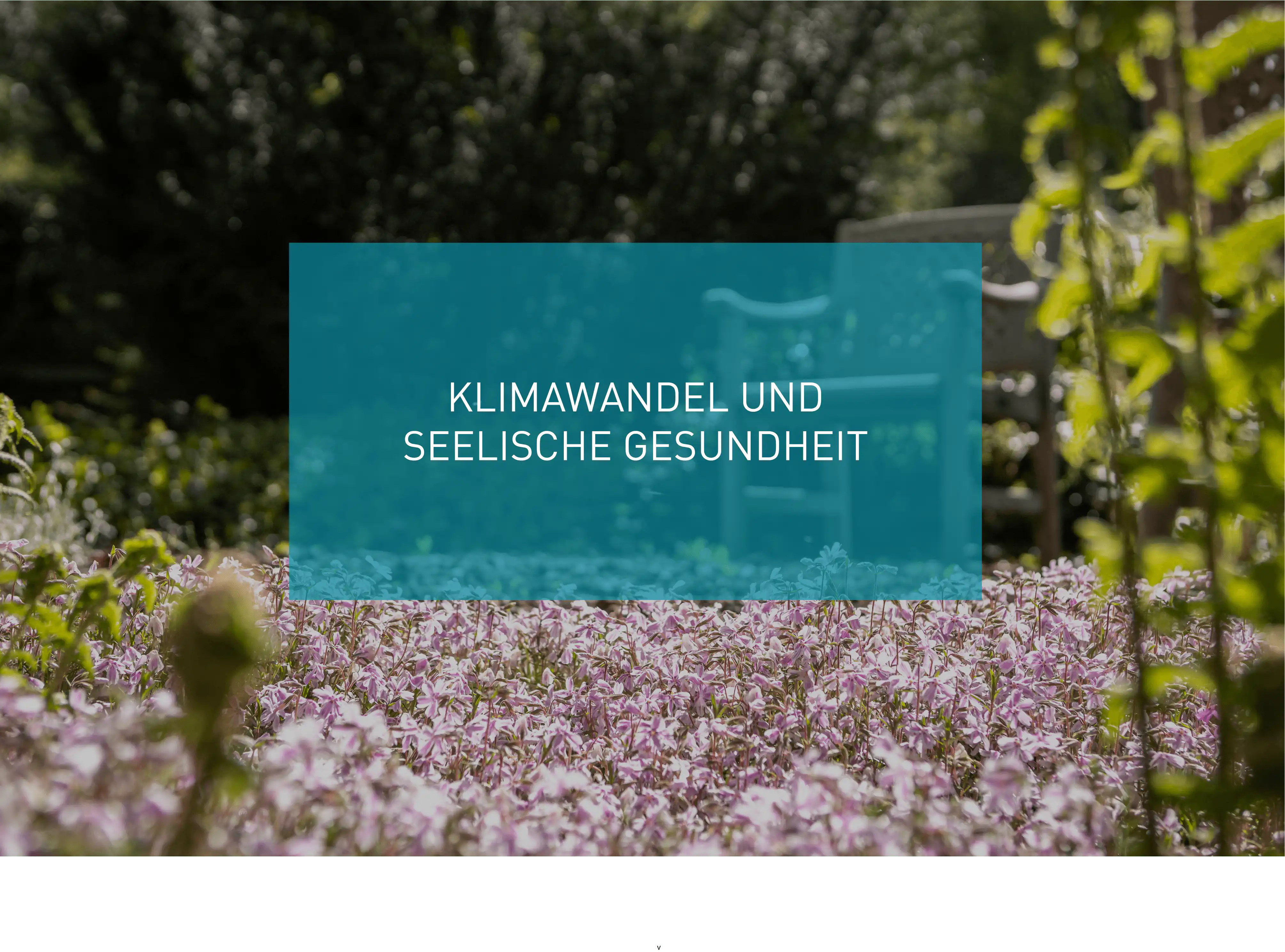 Klimawandel und seelische Gesundheit