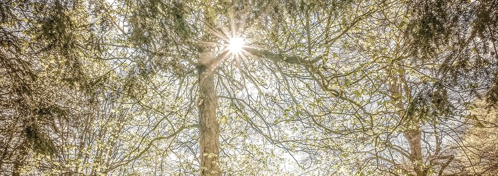 Hilfe bei Angststörungen und Panikattacken Therapie bei Angststörungen und Panikattacken